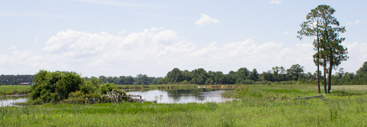 Tifton, Georgia